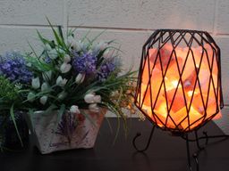 Mesh Industrial Iron Lamp