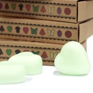 Balenie 6 kusov Vonného Vosku - Melón
