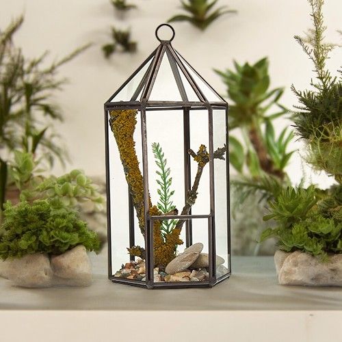 Sklenené Terárium - Lampáš