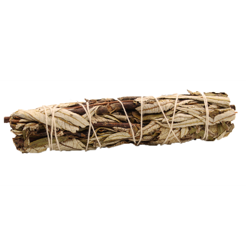 Vykurovacie Zväzky - Šalvia Čierna 15cm