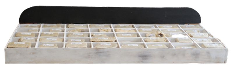 Rustikálne Písmená z Drevenej Kôry - Display Box & Štartér 40 x 12 Velkosť 7cm