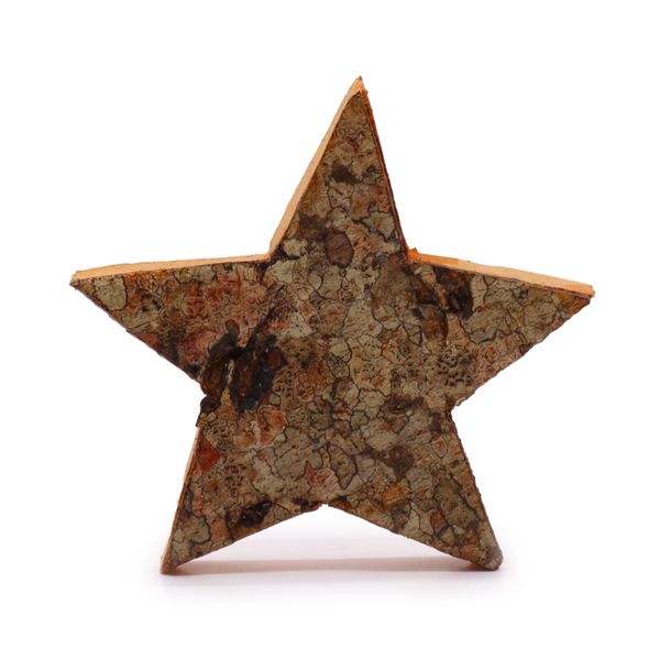 Rustic Bark Letter - "Hviezda" - 7cm