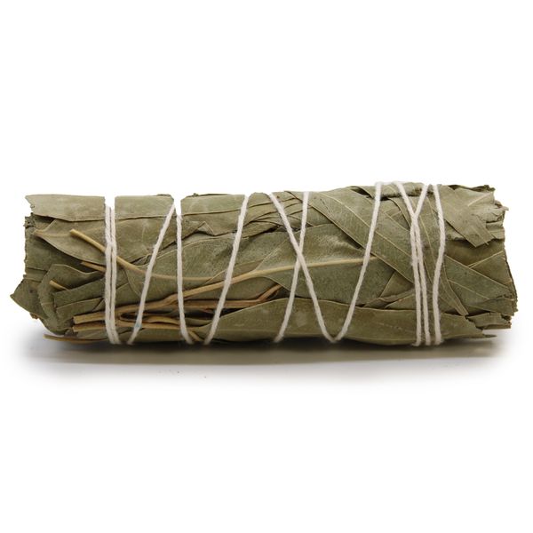 Balené Vykurovacie Zväzky - Biela Šalvia & Eucalyptus 10 cm