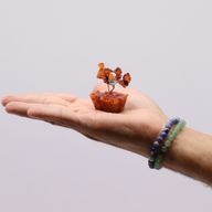 Mini Stromčeky z Drahých Kameňov na Orgonitovej Základni - Karneol (15 kameňov)