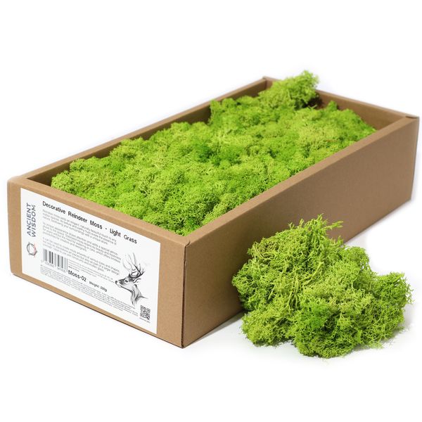 Kvalitný Dekoračný Islandský Mach - Svetlá Tráva  - 500g