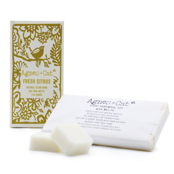 Prírodné Sójové Vonné Vosky 160g - Citrus