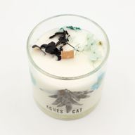 Agnes & Cat Botanická Sójová Sviečka - Morská soľ a Mach
