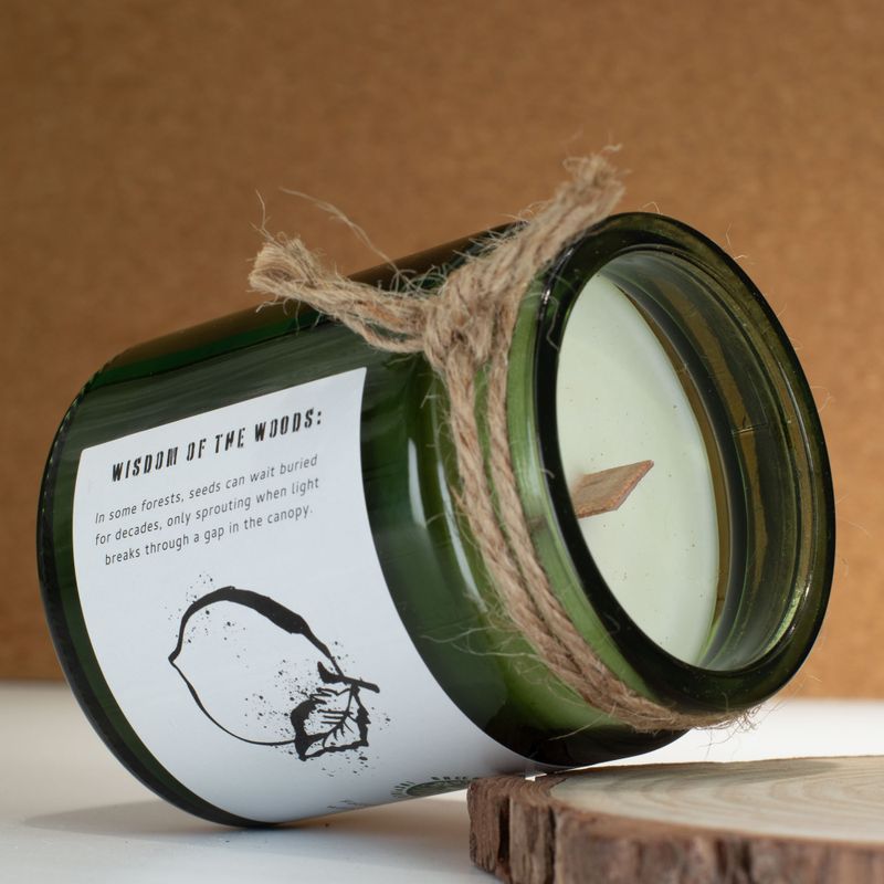 Woodwick Sojová sviečka - Céder a citrusy