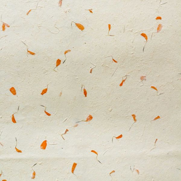 Baliaci Papier Lokta (51x76cm) - Nechtík Lekársky