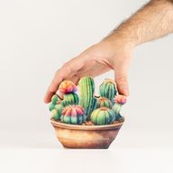 Drevené izbové rastliny – Mini kaktusová záhrada