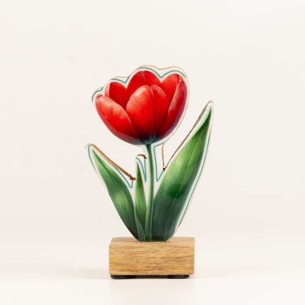 Drevené izbové rastliny – mini tulipán