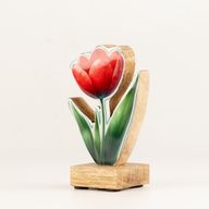 Drevené izbové rastliny – mini tulipán