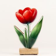 Drevené izbové rastliny – stredný tulipán