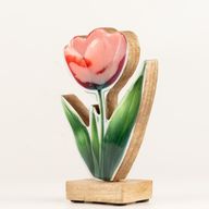 Drevené izbové rastliny – stredný tulipán