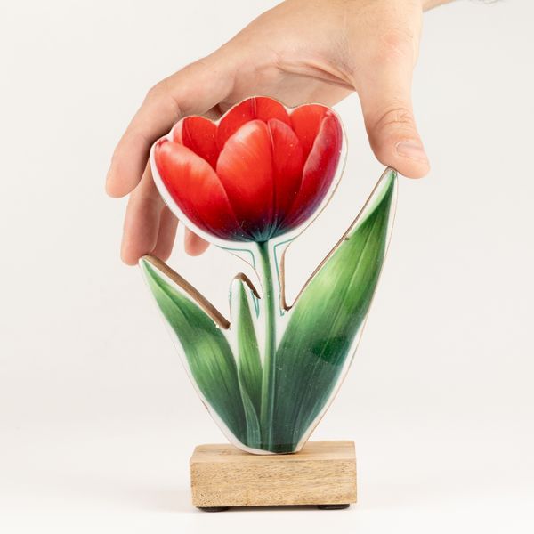 Drevené izbové rastliny – stredný tulipán