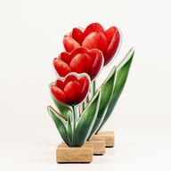 Drevené izbové rastliny – stredný tulipán