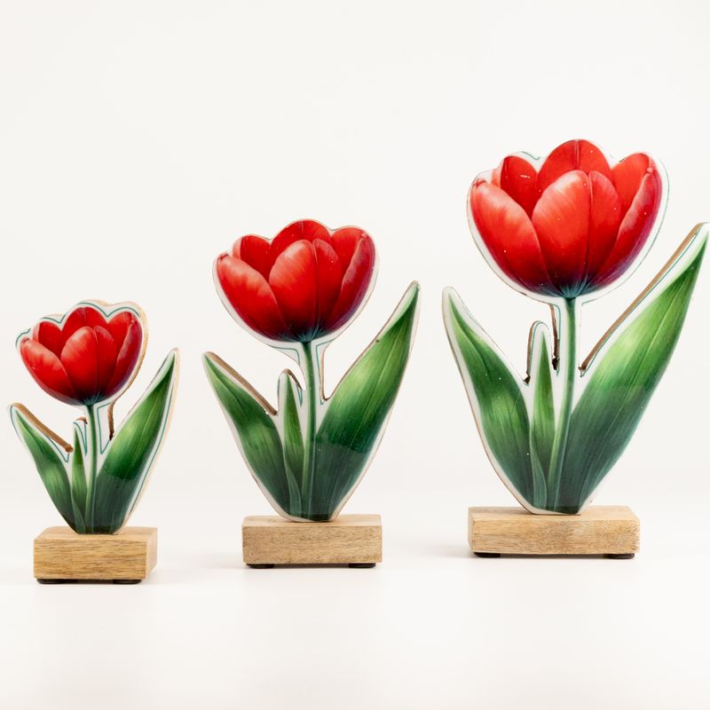 Drevené izbové rastliny – stredný tulipán