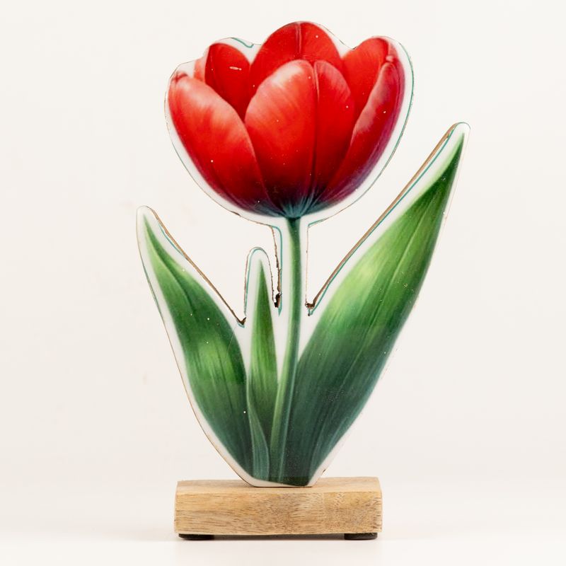 Drevené izbové rastliny – veľký tulipán