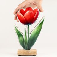 Drevené izbové rastliny – veľký tulipán