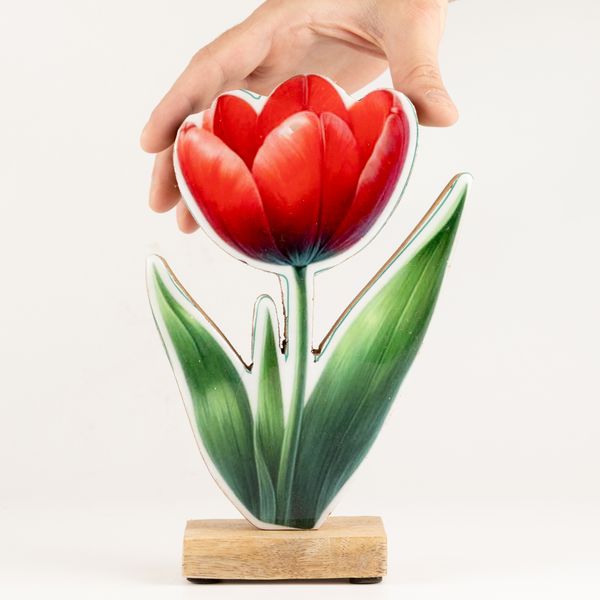Drevené izbové rastliny – veľký tulipán