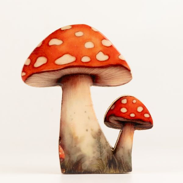 Drevené izbové rastliny – stredný červený hríb