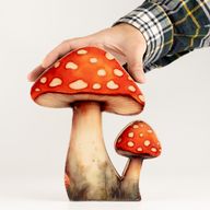 Drevené izbové rastliny – Veľká muchotrávka