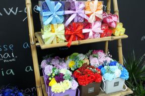Mydlové Kvety - Jarné Kvety