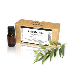 10x 10ml Eukalyptus Esenciálny Olej Neoznačený