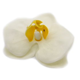 25x Mydlové Kvety pre Šikovné Ruky - Orchidea - Krémová