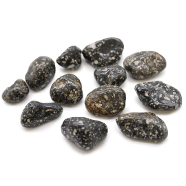 12x Stredne Africké  Kamene - Perlička Stredná