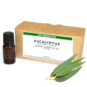 10x Eukalyptus Bio Esenciálny Olej 10ml -  Bez Etikety
