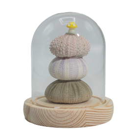 Kvetinová Žiariaca Záhradná Kupola - 3 Morský Ježkovia - LED USB