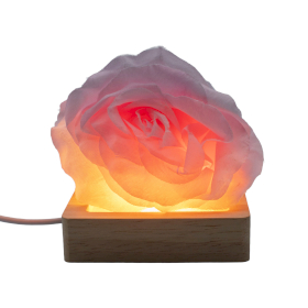 3x 8cm Štvorcový Drevený USB LED Stojan - Studené/Teplé/Denné Svetlo