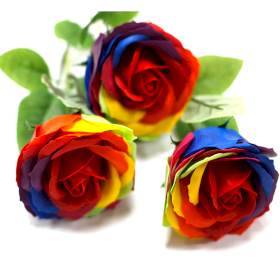 6x Mydlový Kvet - Dúhová Ruža