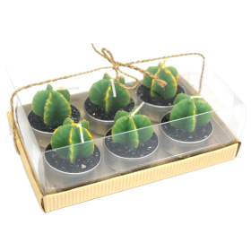5x Set 6-tych Kaktusových Sviečok - Mních